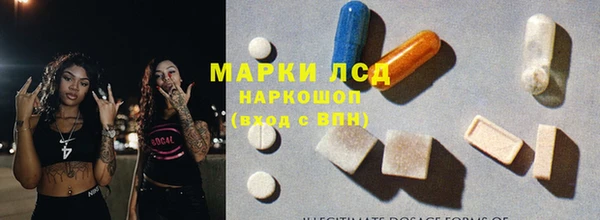 гашик Алзамай