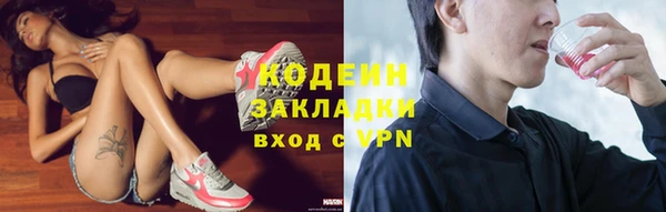 гашик Алзамай